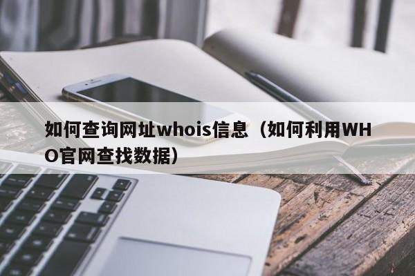 域名查询whois：探寻网络世界的秘密入口(域名查询whois)